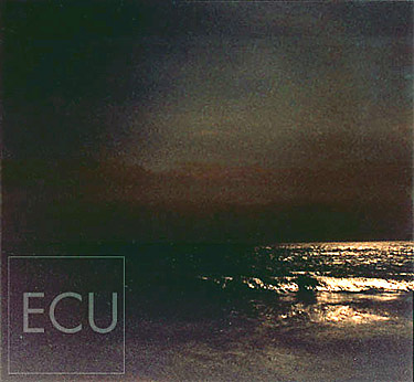 Color photograph taken at night along the Southampton beach in New York of the Atlantic Ocean with a full moon in an impressionistic style