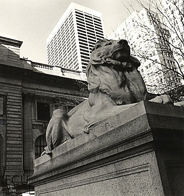 Black and white photo of the stone Beaux Arts architecture of the New York Public Library and its lion on Fifth Avenue