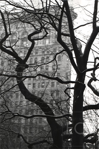 Black and white photo of the landmark Flatiron Building next to Madison Square in New York