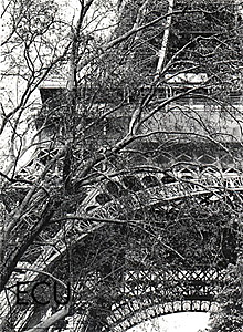Black and white photo of the Eiffel Tower in the Champs de Mars in Paris, France