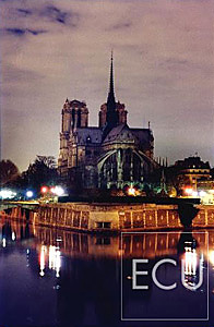 Color photo of landmark Notre Dame shot from Ile St. Louis with cathedral's flying buttresses, towers, and spire at night in Paris, France