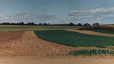 Color photo of a farm taken in the North Sea neighborhood of Southampton, New York
